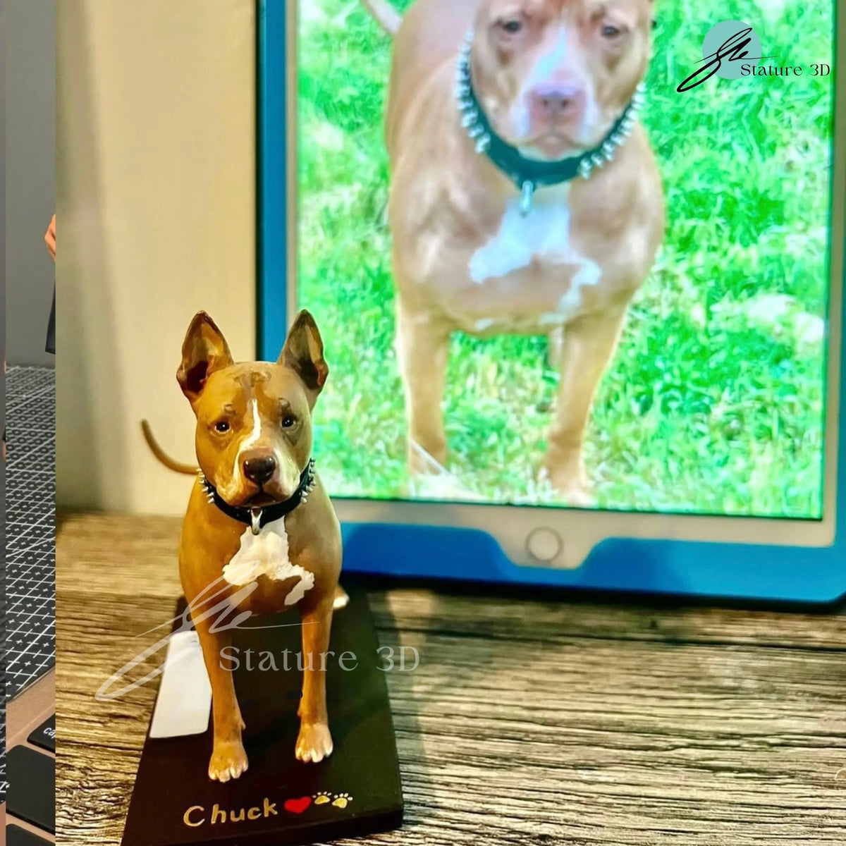Custom Pet Miniature